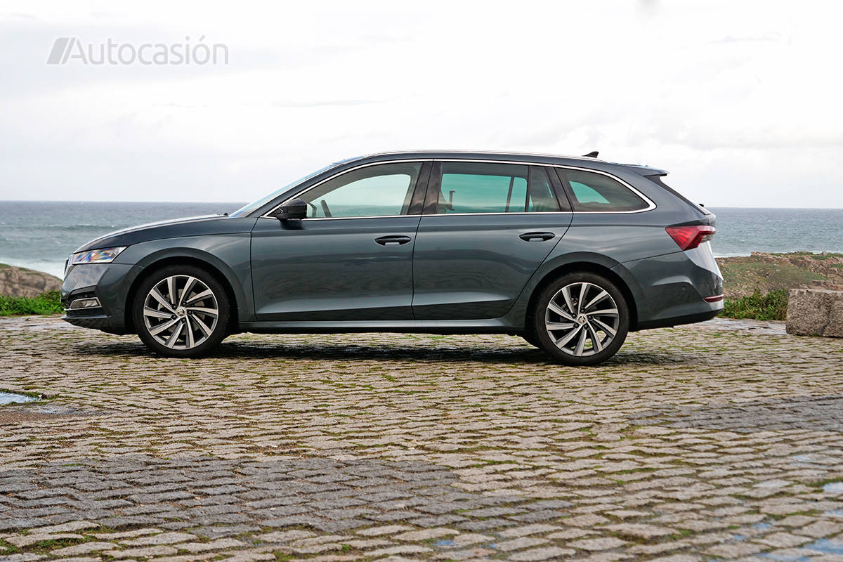 Fotogalería del nuevo Skoda Octavia Combi 2.0 TDi 2020