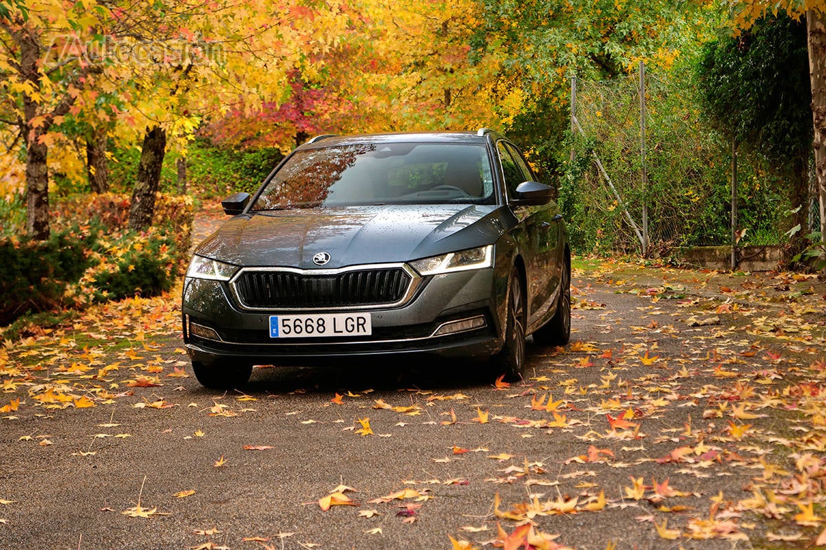 Fotogalería del nuevo Skoda Octavia Combi 2.0 TDi 2020