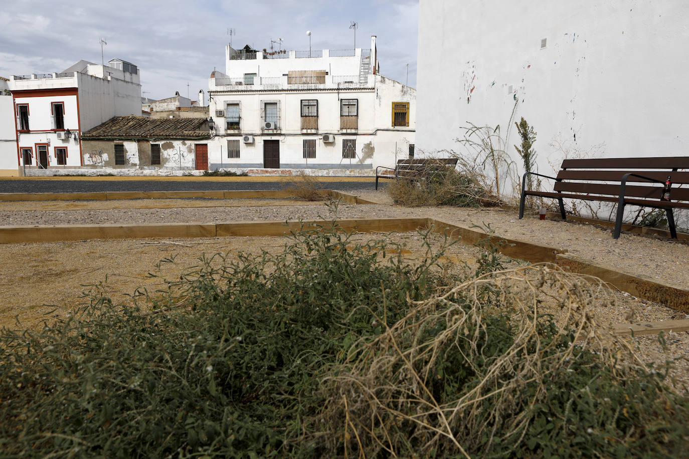 El solar del antiguo Cine Andalucía de Córdoba, en imágenes