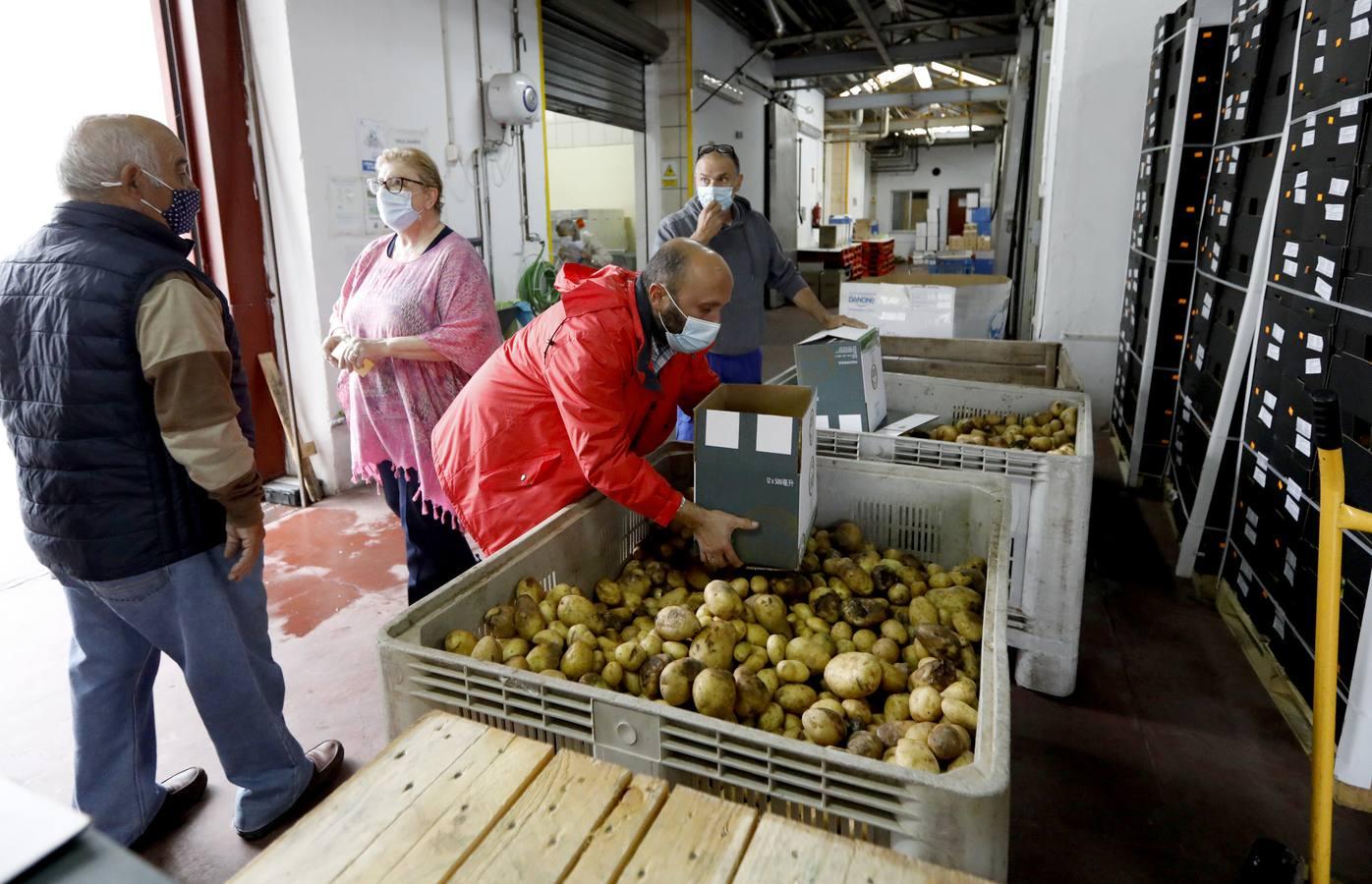 La labor de las ONGs de Córdoba en la pandemia, en imágenes