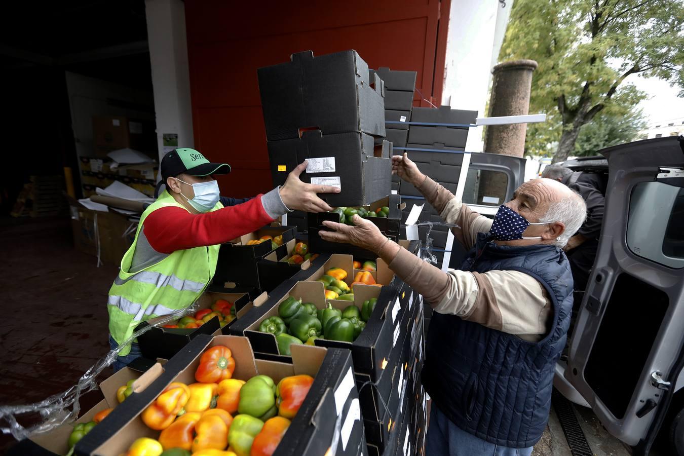 La labor de las ONGs de Córdoba en la pandemia, en imágenes