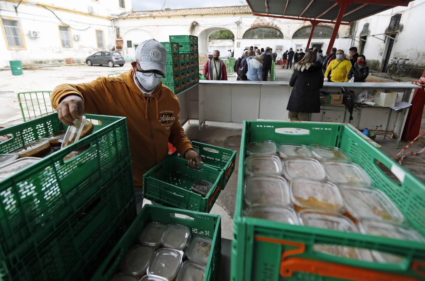 La labor de las ONGs de Córdoba en la pandemia, en imágenes