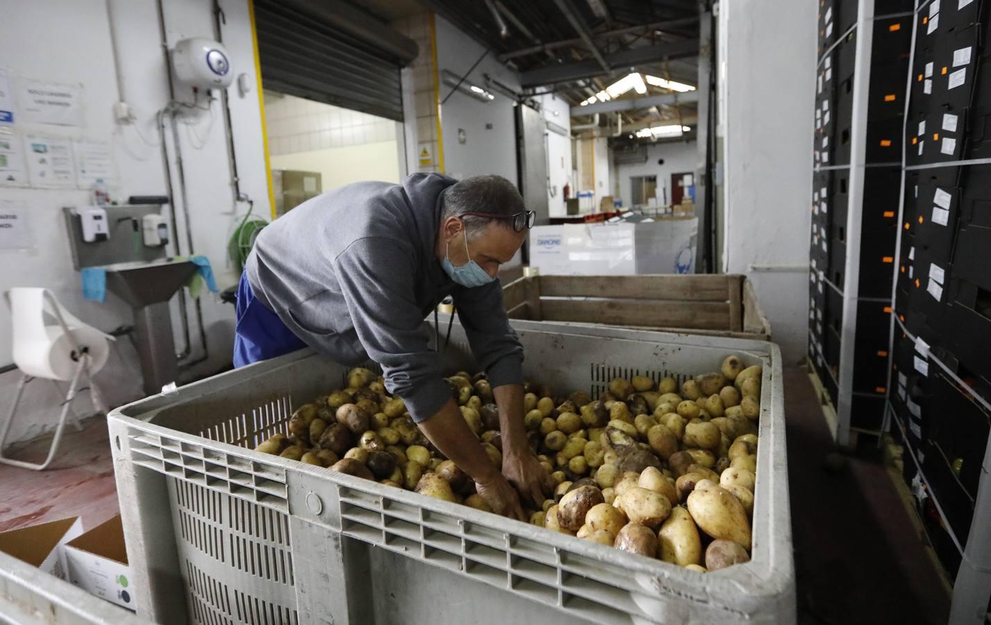 La labor de las ONGs de Córdoba en la pandemia, en imágenes