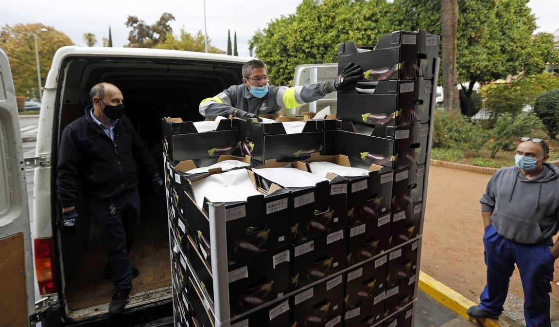 La labor de las ONGs de Córdoba en la pandemia, en imágenes