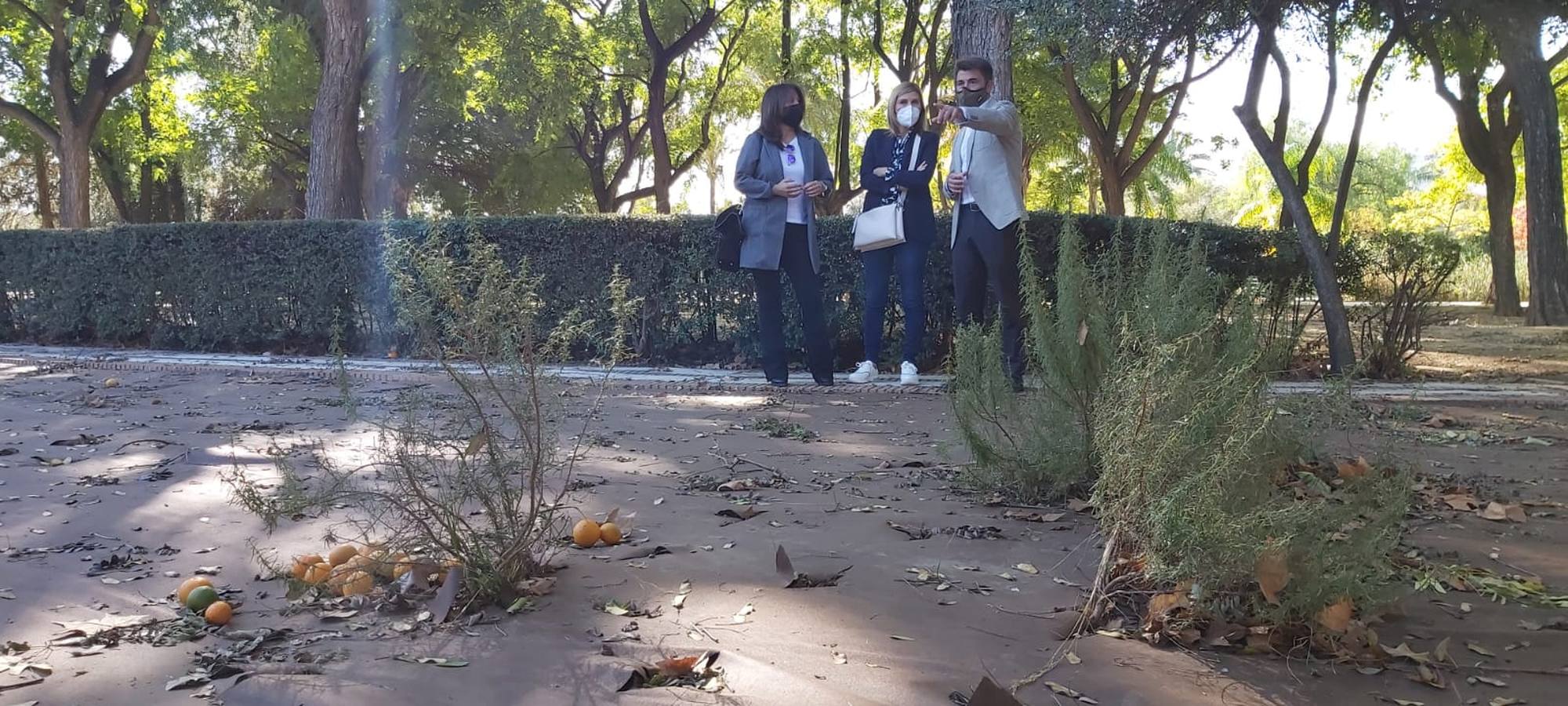 El mal estado del Jardín Americano de Sevilla