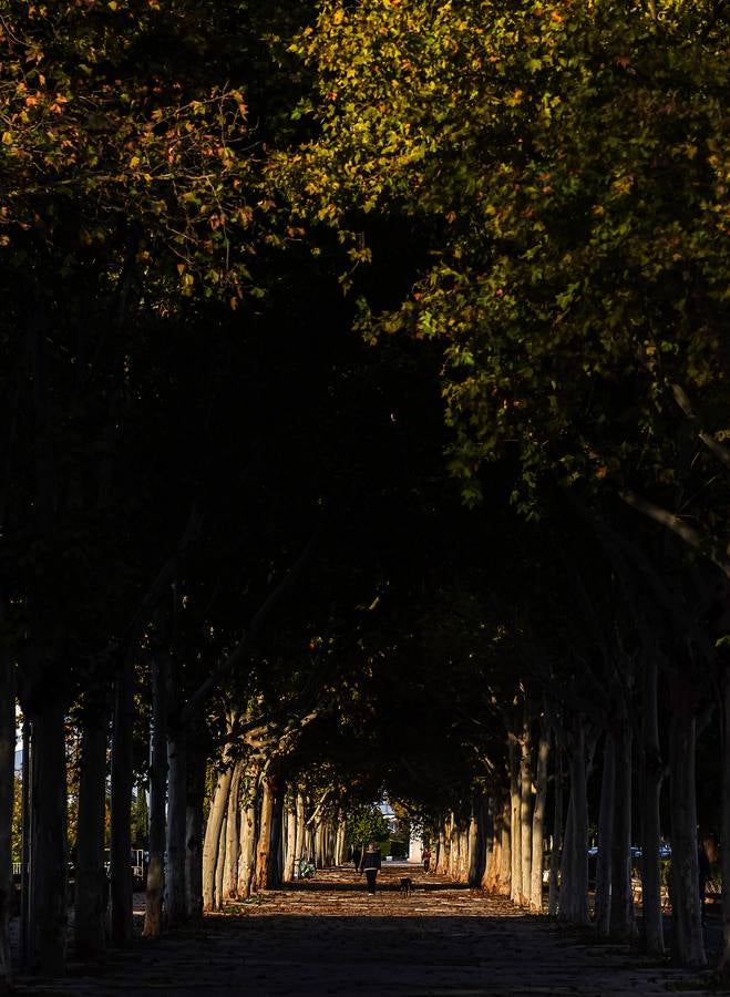 Los colores del otoño en Sevilla