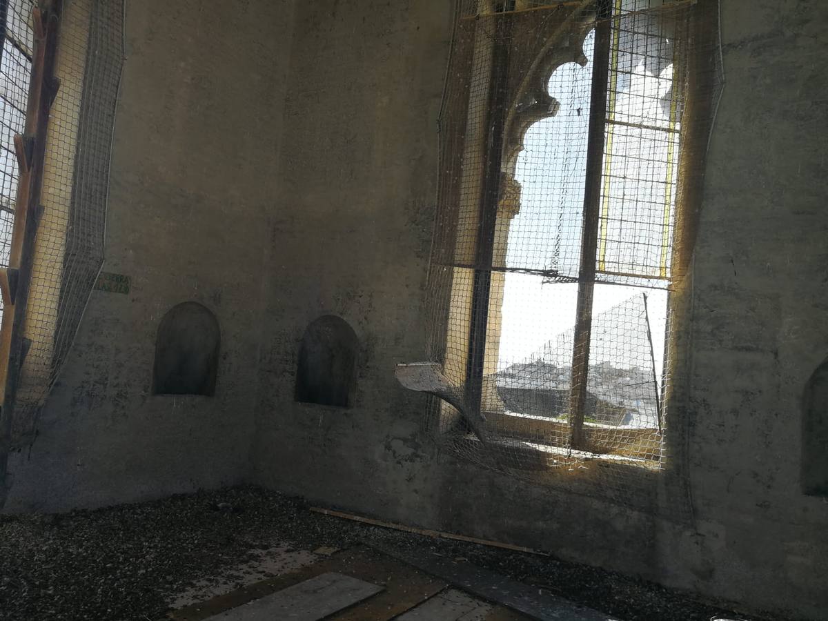 En imágenes, estado de abandono de la Torre de Don Fadrique