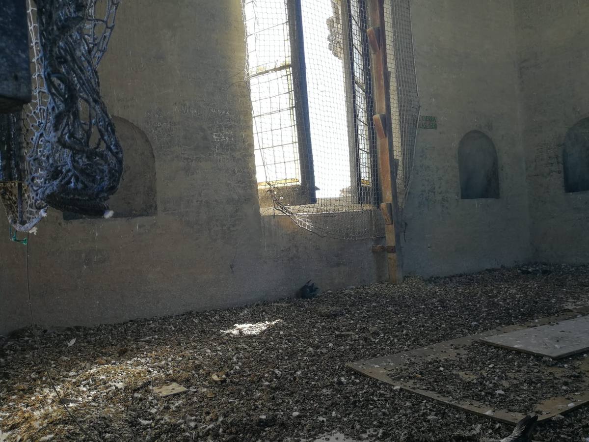 En imágenes, estado de abandono de la Torre de Don Fadrique