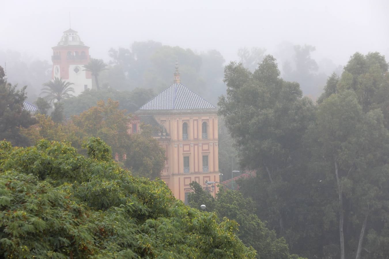 En imágenes, la niebla cubre por completo Sevilla