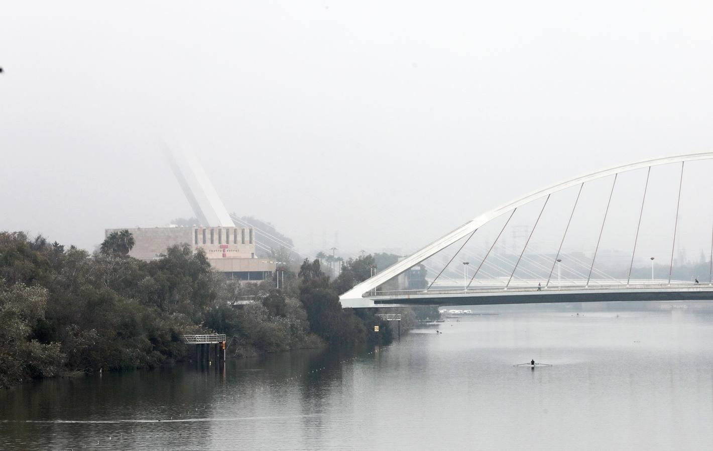 En imágenes, la niebla cubre por completo Sevilla