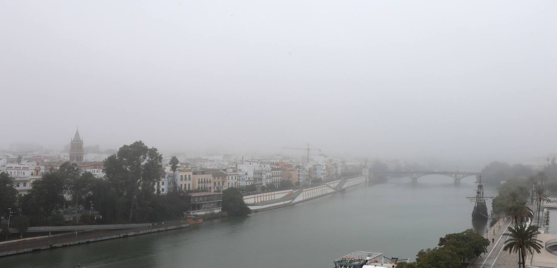 En imágenes, la niebla cubre por completo Sevilla