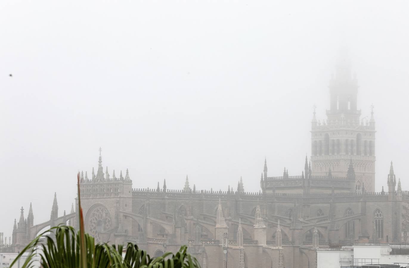 En imágenes, la niebla cubre por completo Sevilla