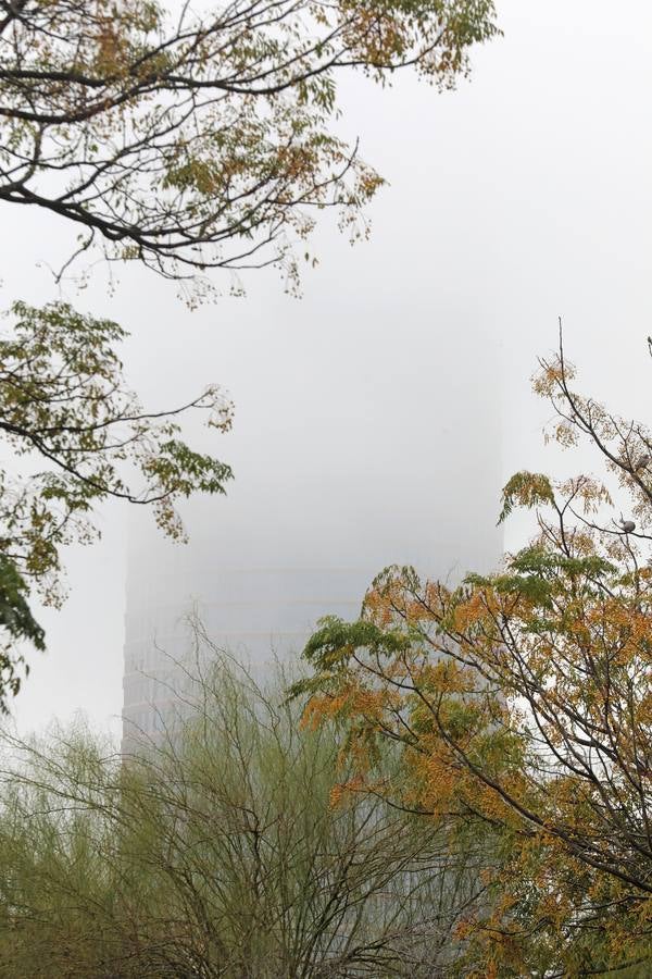 En imágenes, la niebla cubre por completo Sevilla