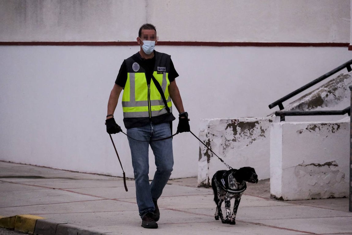 Operación de la Policía Nacional contra una red dedicada al tráfico de cocaína en Cádiz