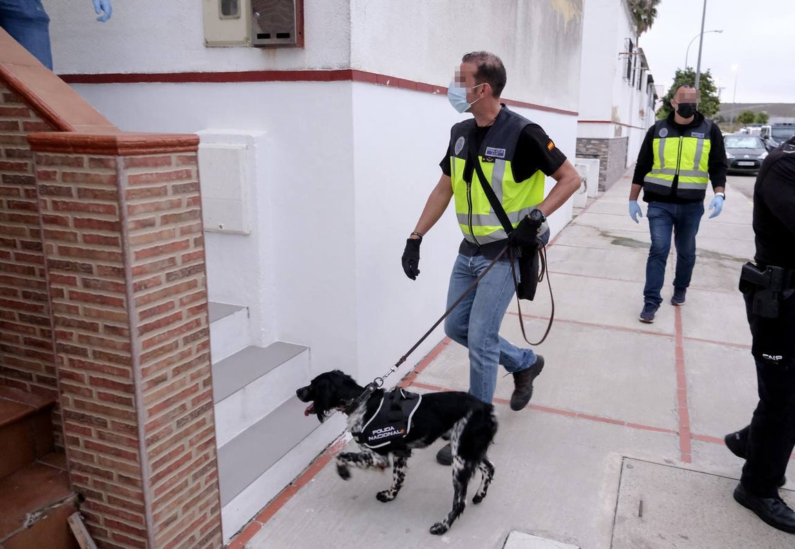 Operación de la Policía Nacional contra una red dedicada al tráfico de cocaína en Cádiz