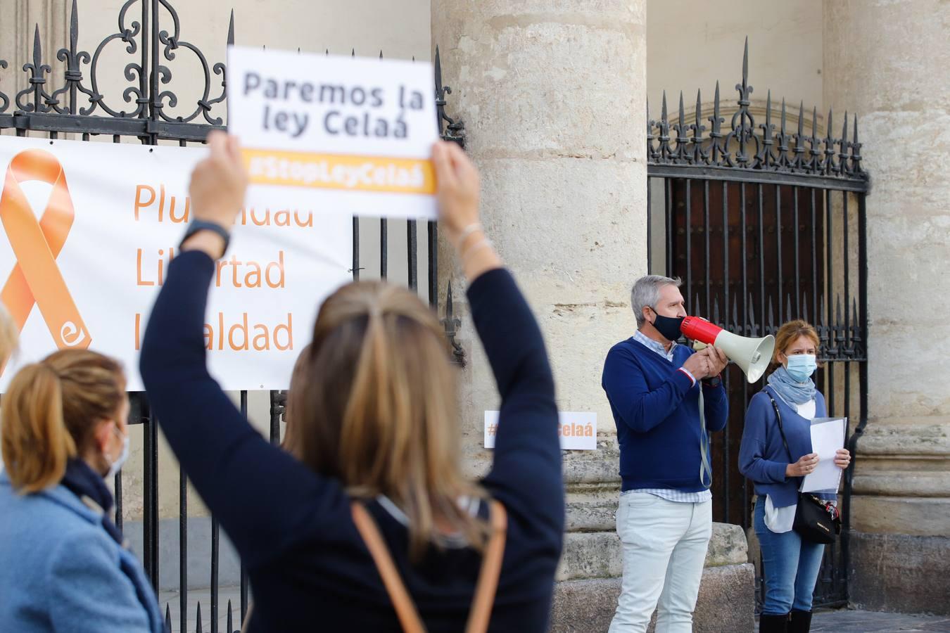 Las protestas contra la Ley Celaá en Córdoba, en imágenes