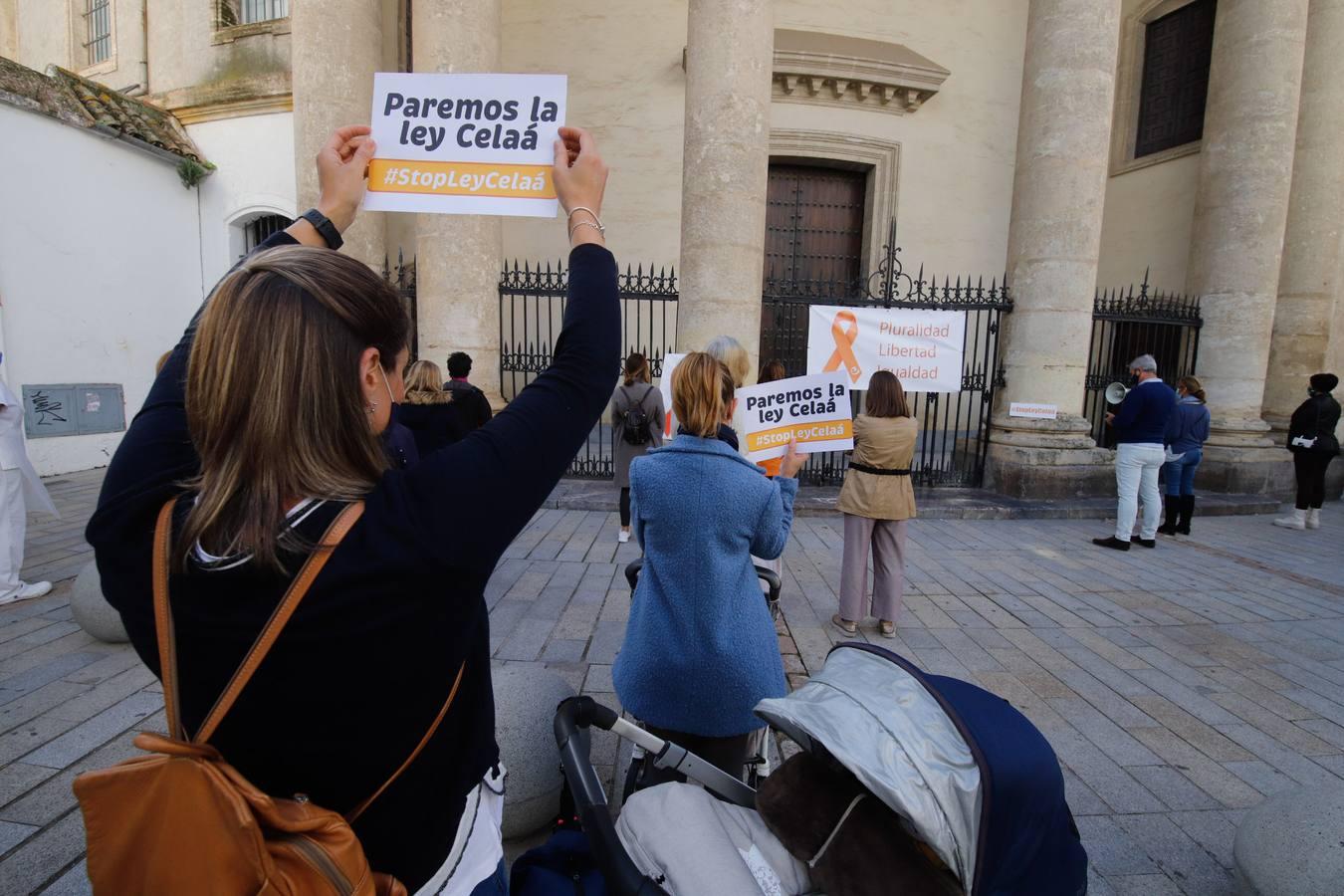 Las protestas contra la Ley Celaá en Córdoba, en imágenes