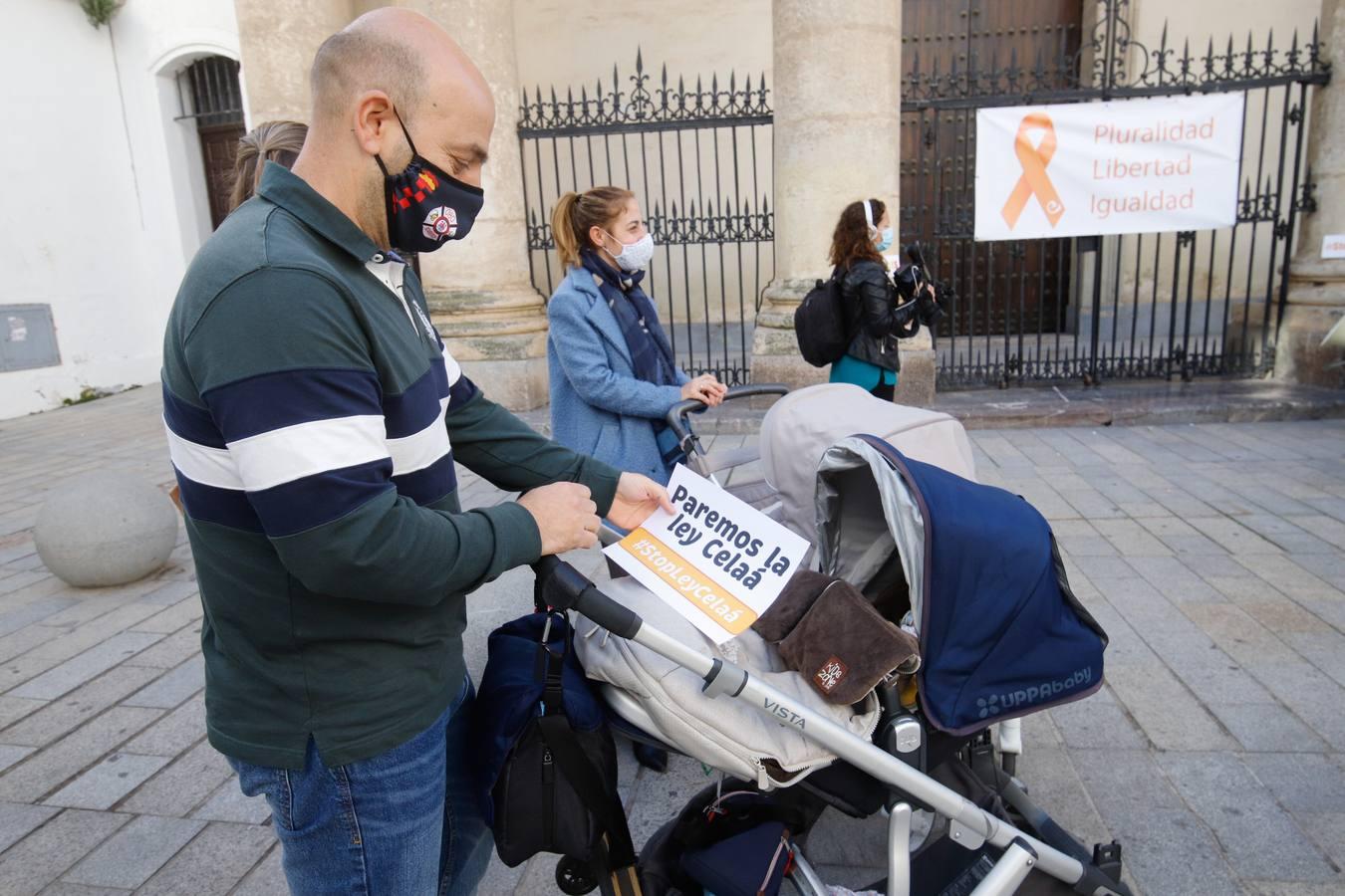 Las protestas contra la Ley Celaá en Córdoba, en imágenes