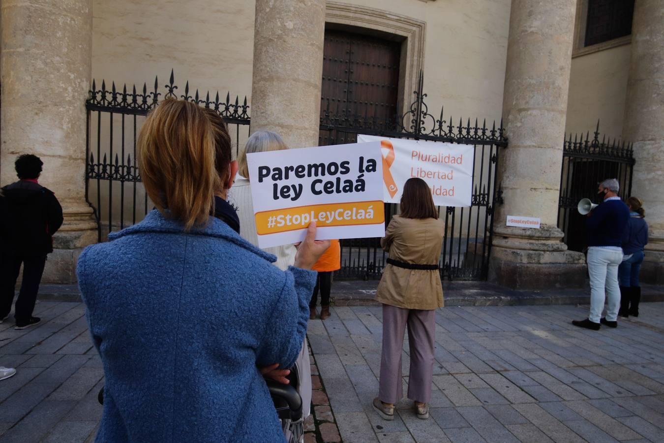 Las protestas contra la Ley Celaá en Córdoba, en imágenes