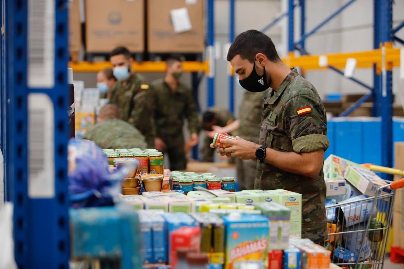 La misión más solidaria del Ejército en el Banco de Alimentos de Córdoba, en imágenes