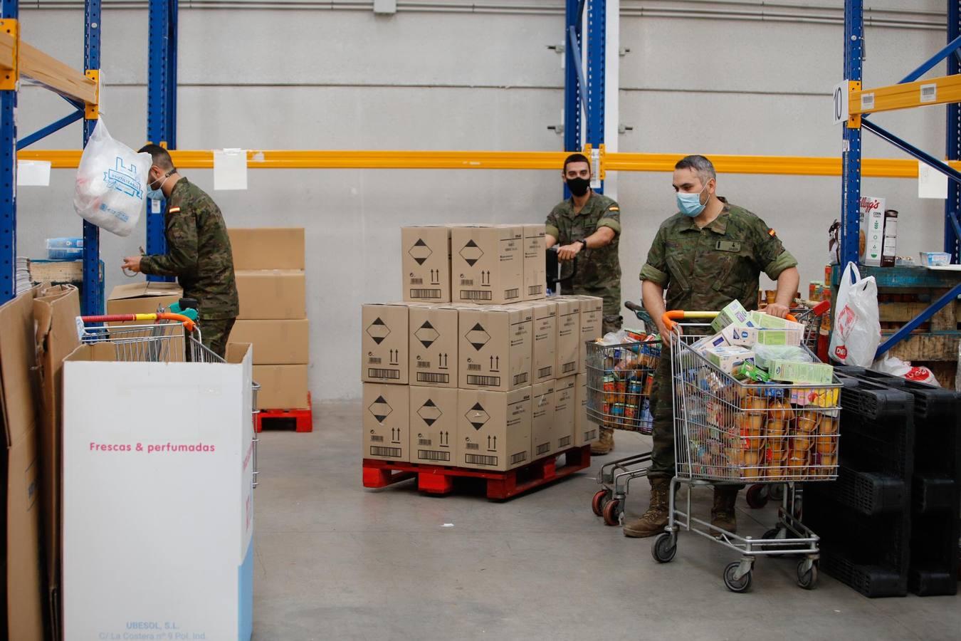 La misión más solidaria del Ejército en el Banco de Alimentos de Córdoba, en imágenes