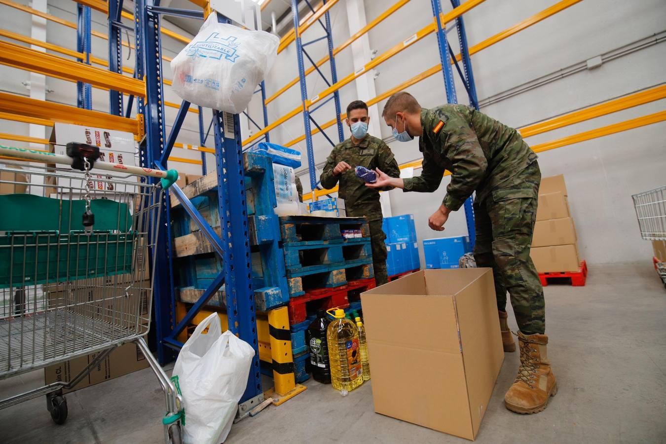 La misión más solidaria del Ejército en el Banco de Alimentos de Córdoba, en imágenes