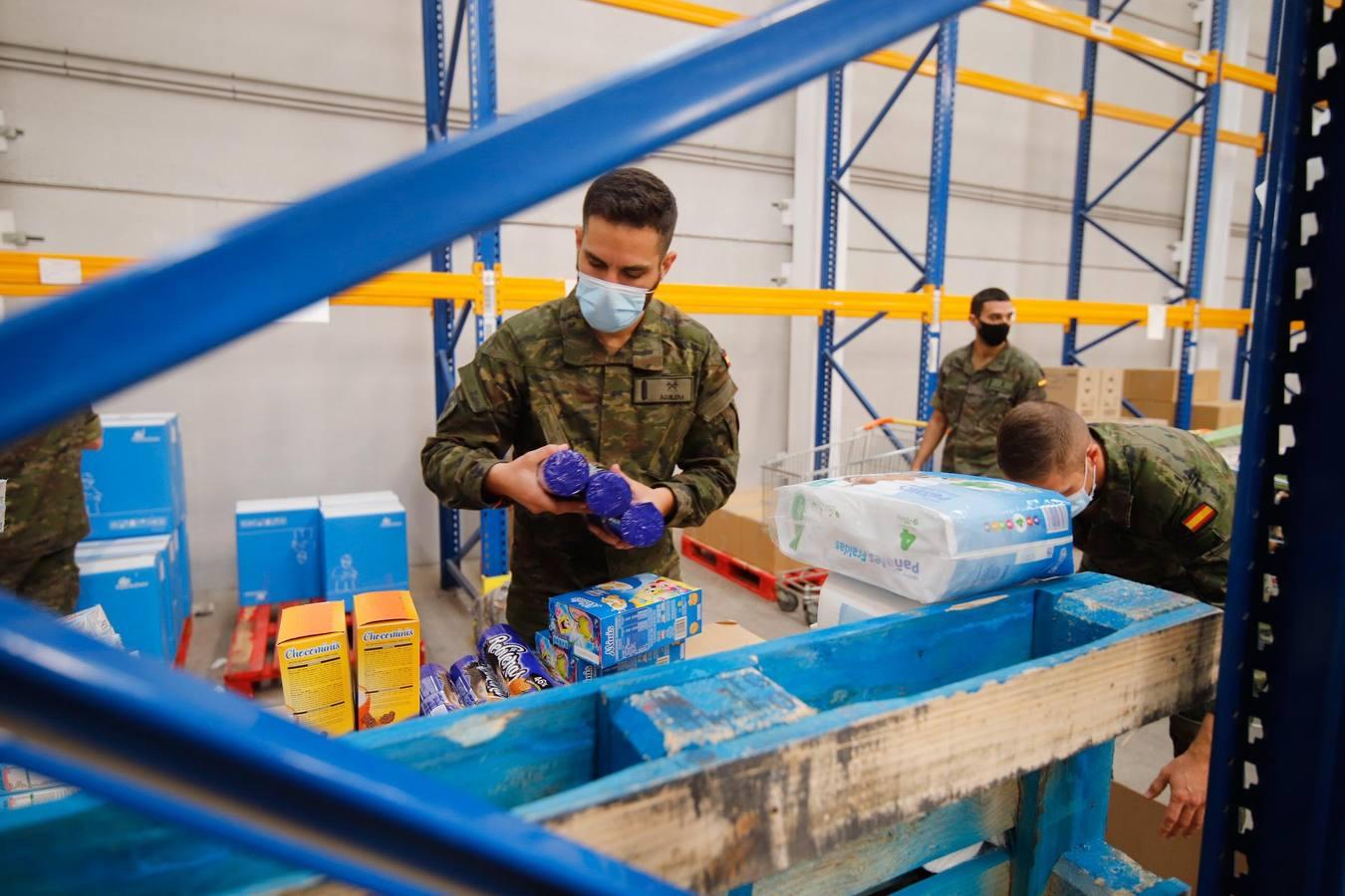 La misión más solidaria del Ejército en el Banco de Alimentos de Córdoba, en imágenes