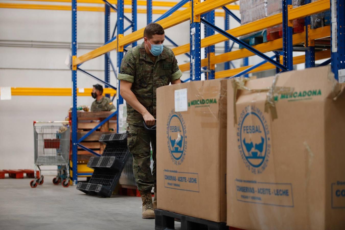 La misión más solidaria del Ejército en el Banco de Alimentos de Córdoba, en imágenes