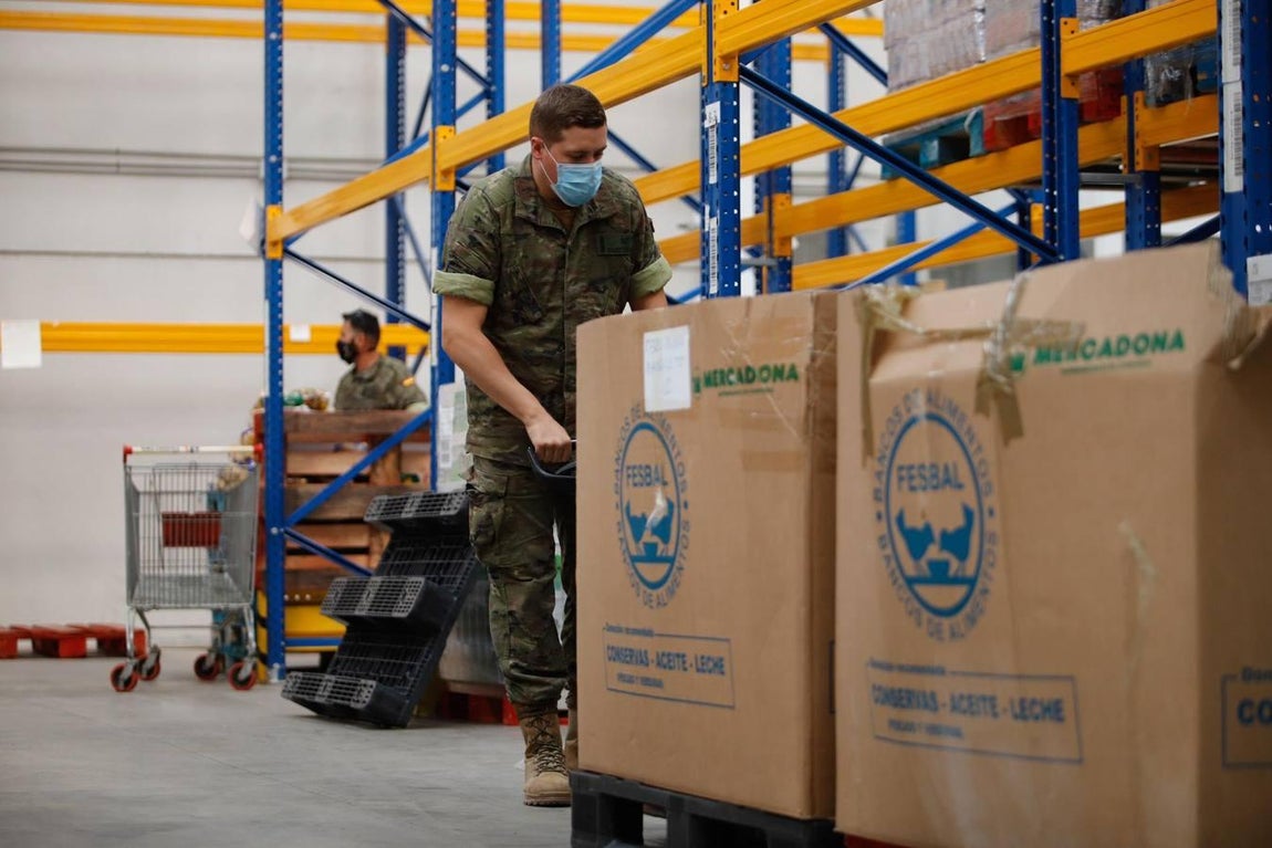 La misión más solidaria del Ejército en el Banco de Alimentos de Córdoba, en imágenes