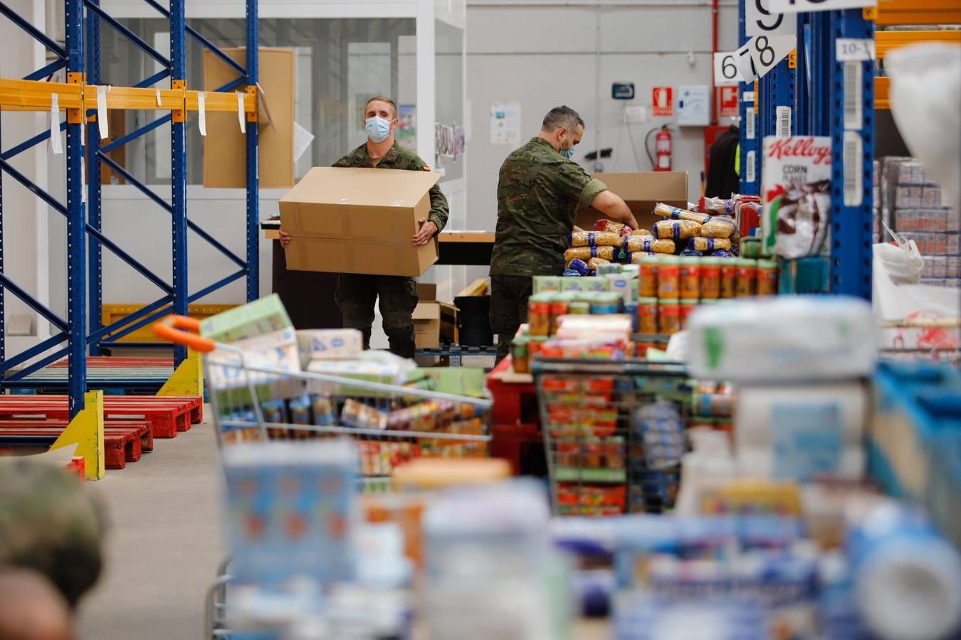 La misión más solidaria del Ejército en el Banco de Alimentos de Córdoba, en imágenes