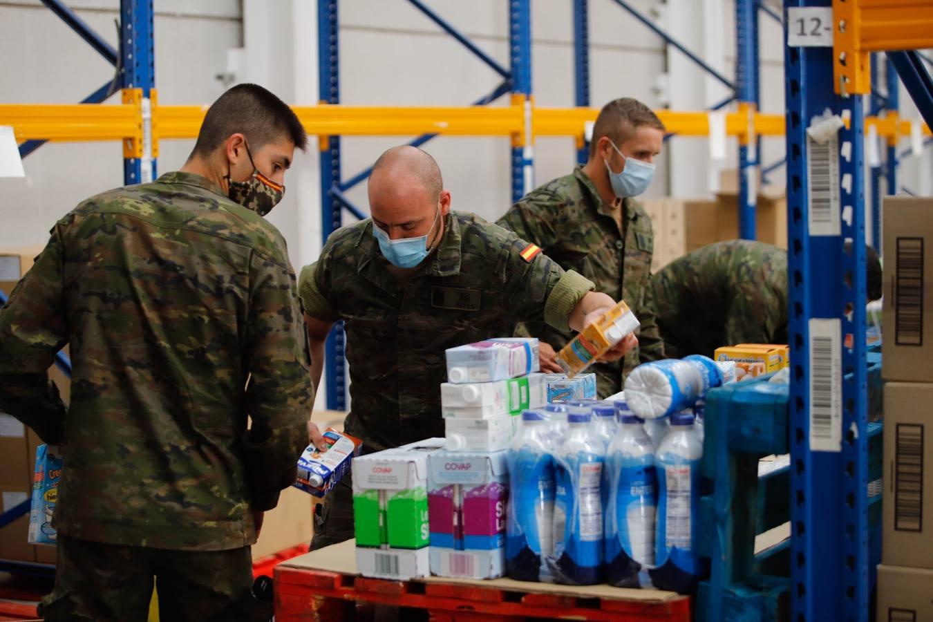 La misión más solidaria del Ejército en el Banco de Alimentos de Córdoba, en imágenes