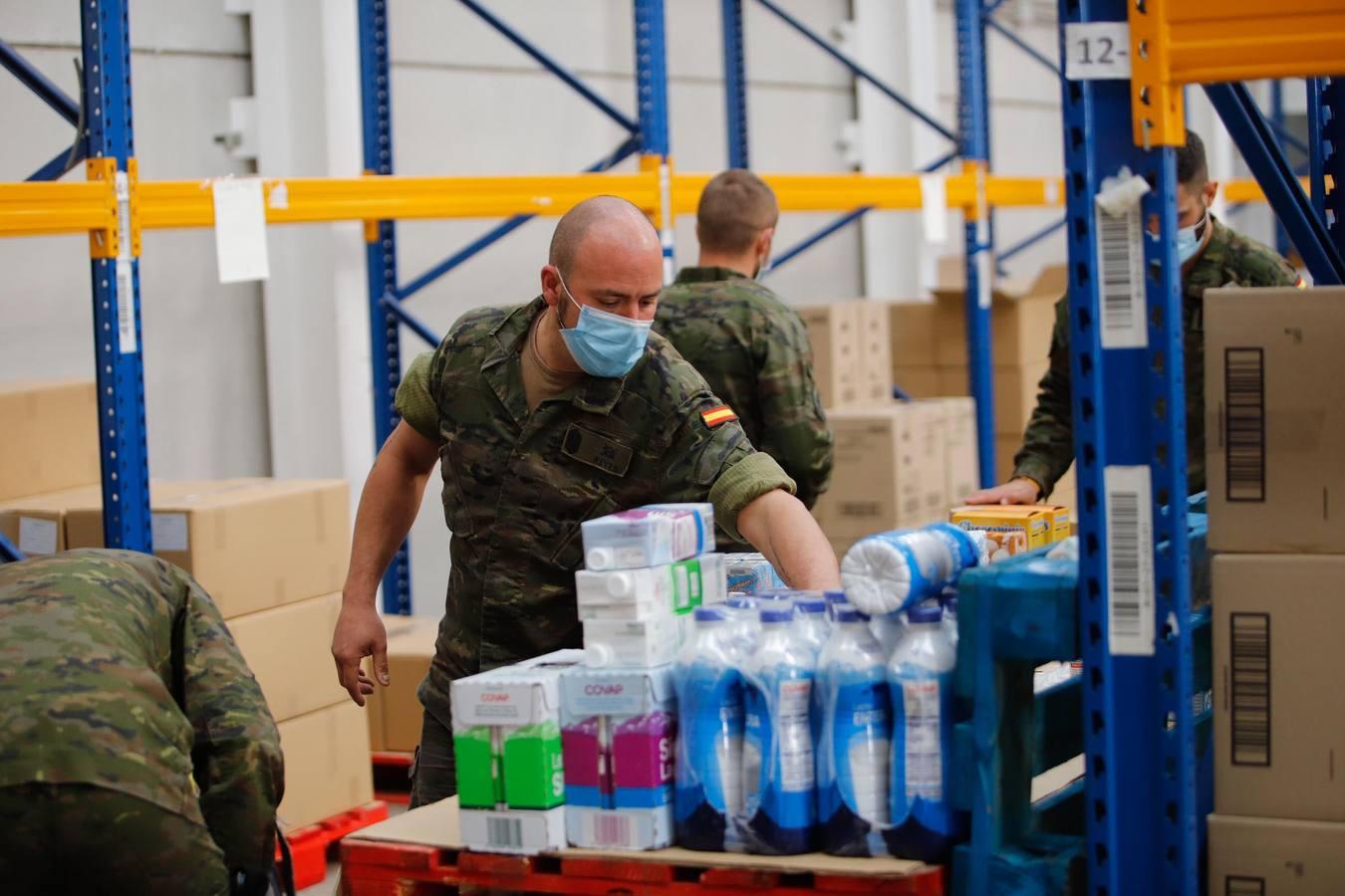 La misión más solidaria del Ejército en el Banco de Alimentos de Córdoba, en imágenes