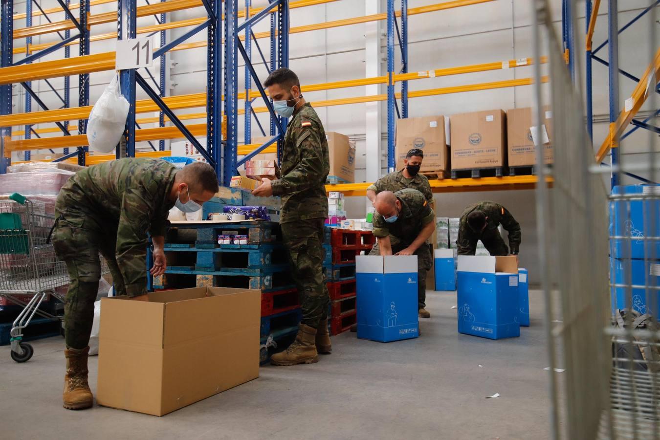 La misión más solidaria del Ejército en el Banco de Alimentos de Córdoba, en imágenes