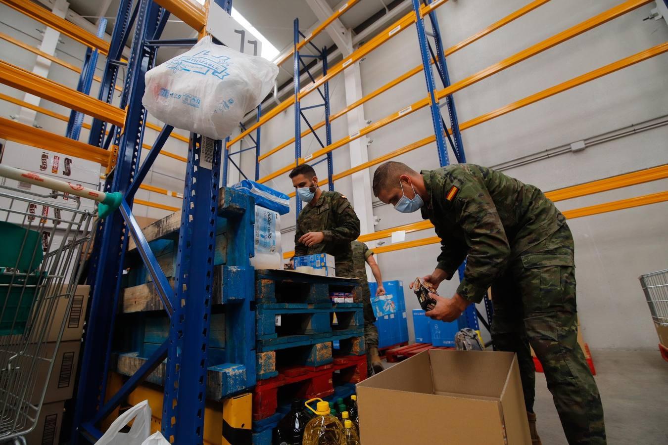 La misión más solidaria del Ejército en el Banco de Alimentos de Córdoba, en imágenes