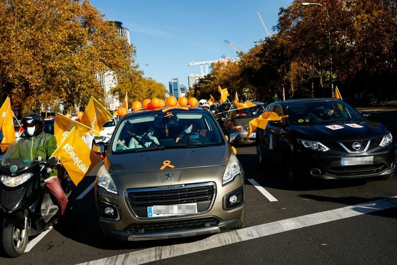 En imágenes: España protesta contra la «Ley Celaá»