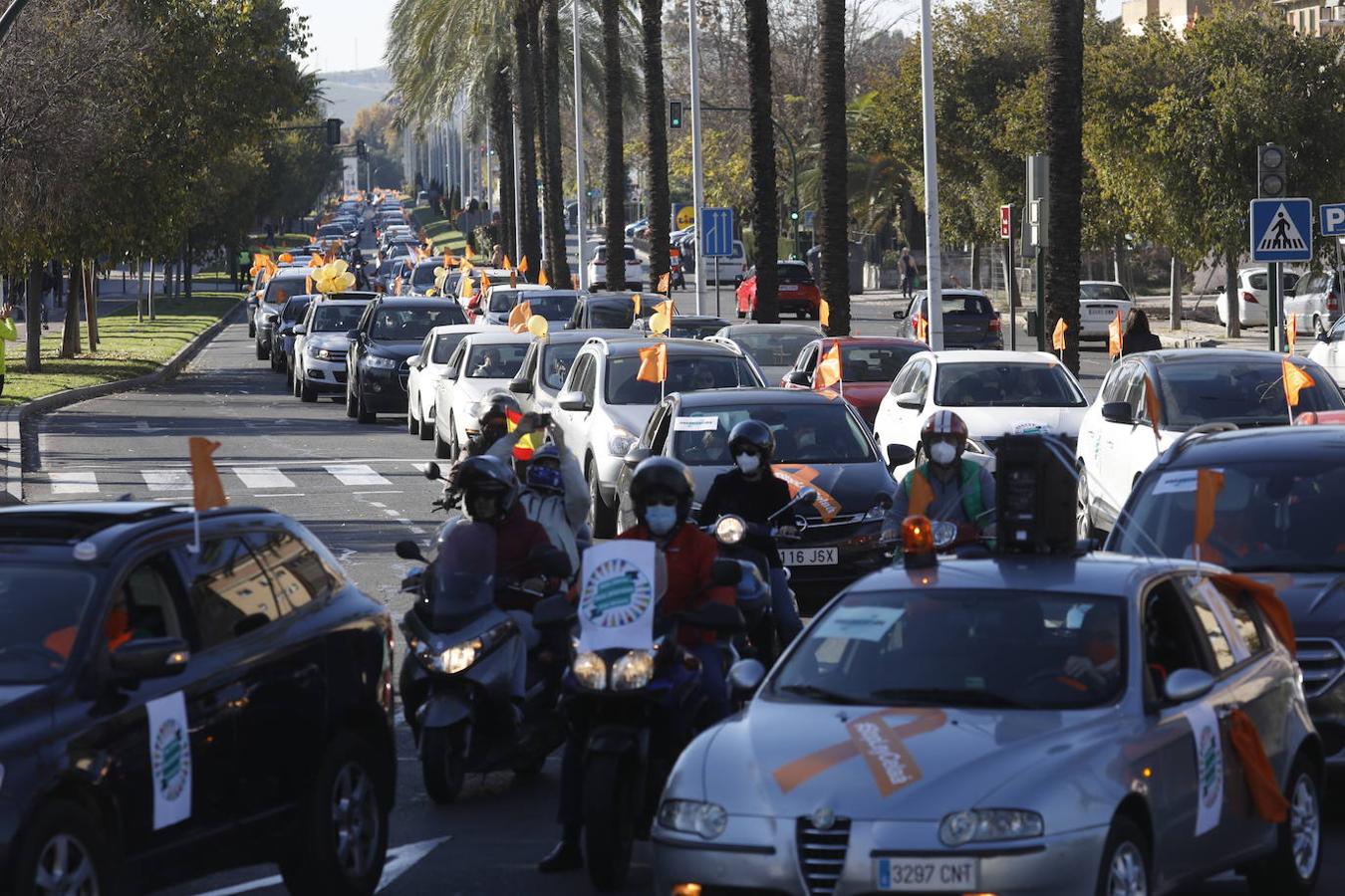 La protesta de la concertada contra la «Ley Celaá» en Córdoba, en imágenes