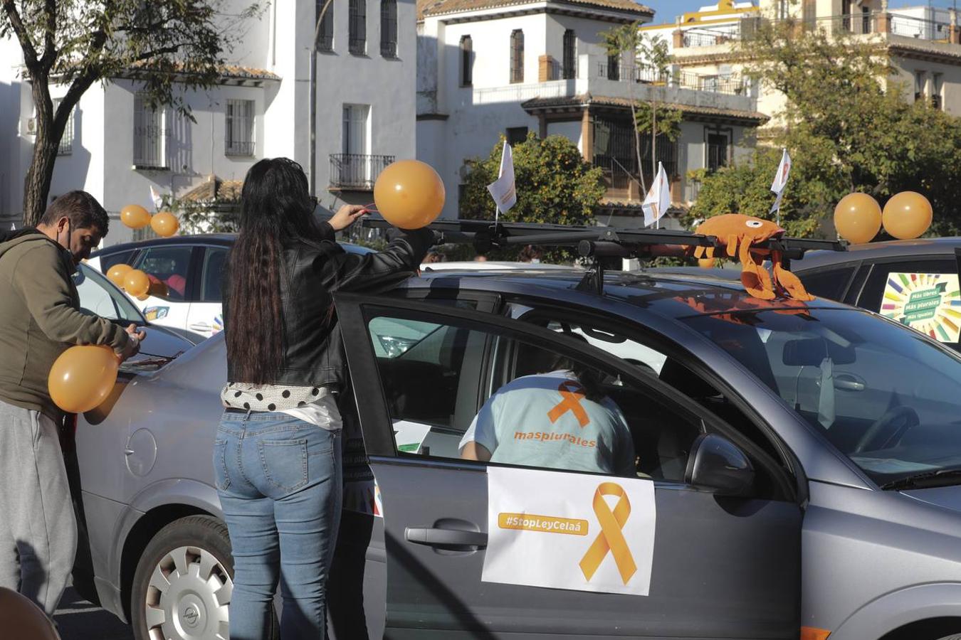 La protesta de la educación concertada de Sevilla por la Ley Celáa, en imágenes