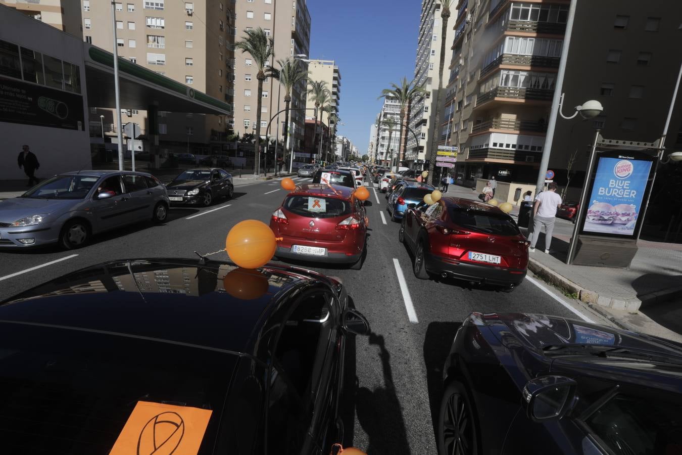 Caravana de vehículos en Cádiz contra «la ley Celaá»