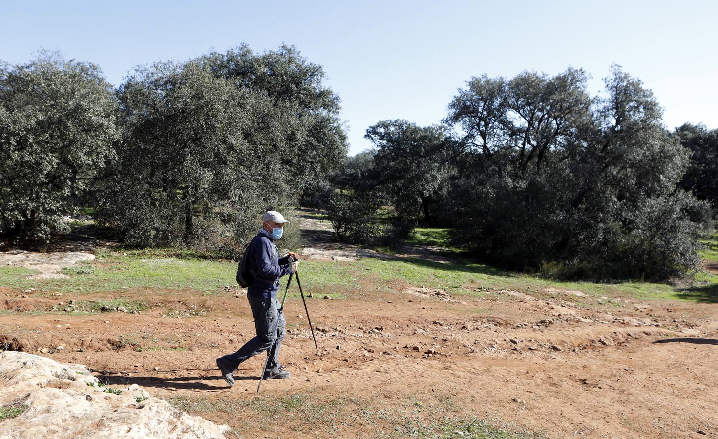 El esplendor del parque del Patriarca de Córdoba, en imágenes