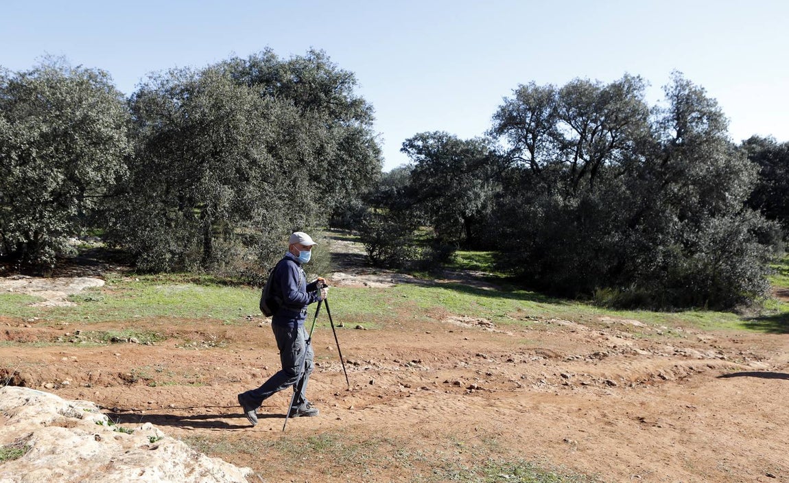 El esplendor del parque del Patriarca de Córdoba, en imágenes