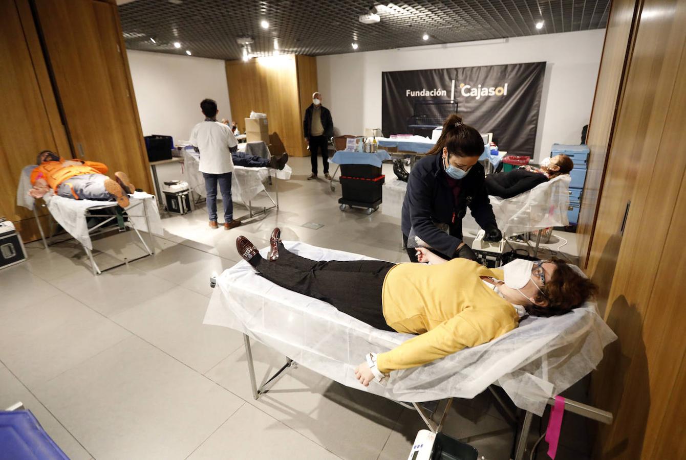 La Fundación Cajasol inicia en su sede de Córdoba una campaña de donaciones de sangre