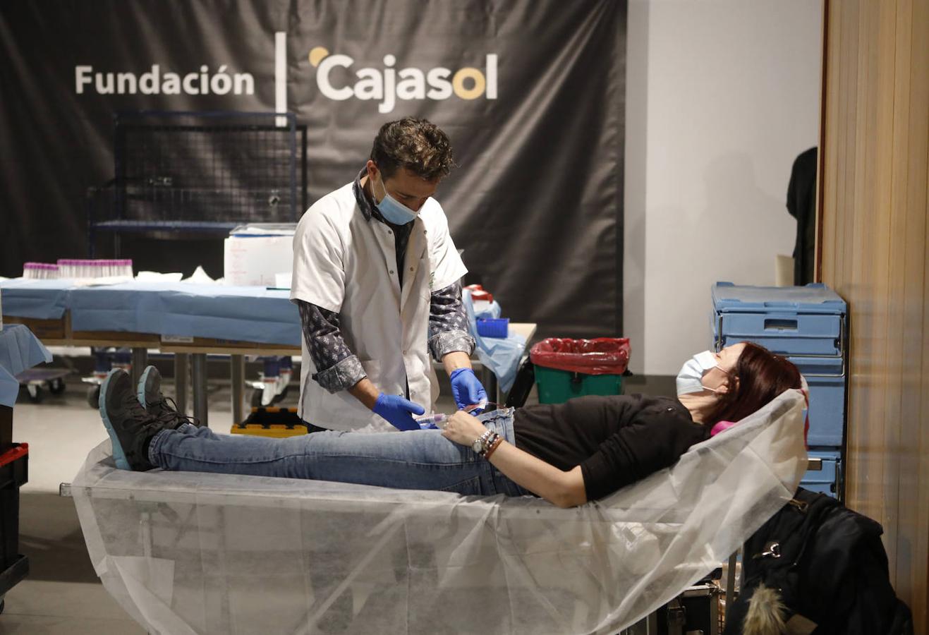 La donación de sangre en la Fundación Cajasol en Córdoba, en imágenes