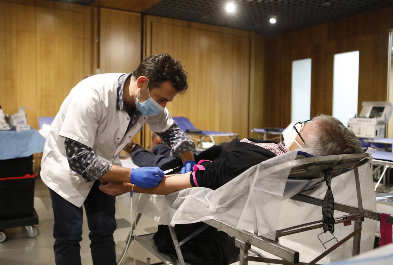 La donación de sangre en la Fundación Cajasol en Córdoba, en imágenes