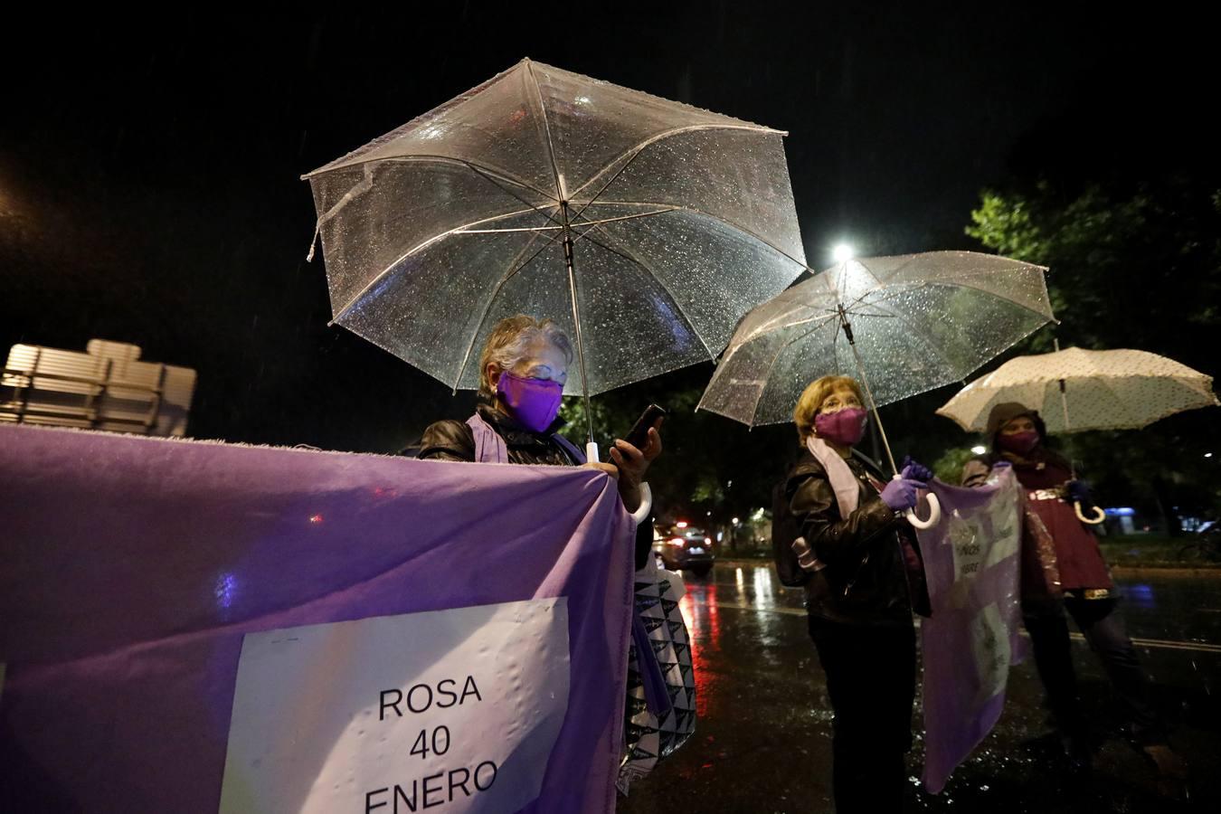 La marcha contra la violencia machista en Córdoba, en imágenes