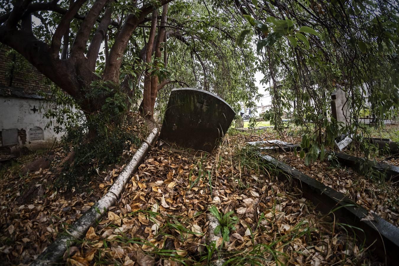 Cementerio de los Ingleses de Sevilla, un tesoro abandonado