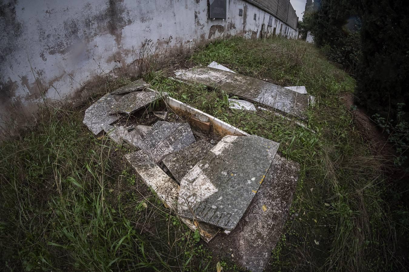 Cementerio de los Ingleses de Sevilla, un tesoro abandonado