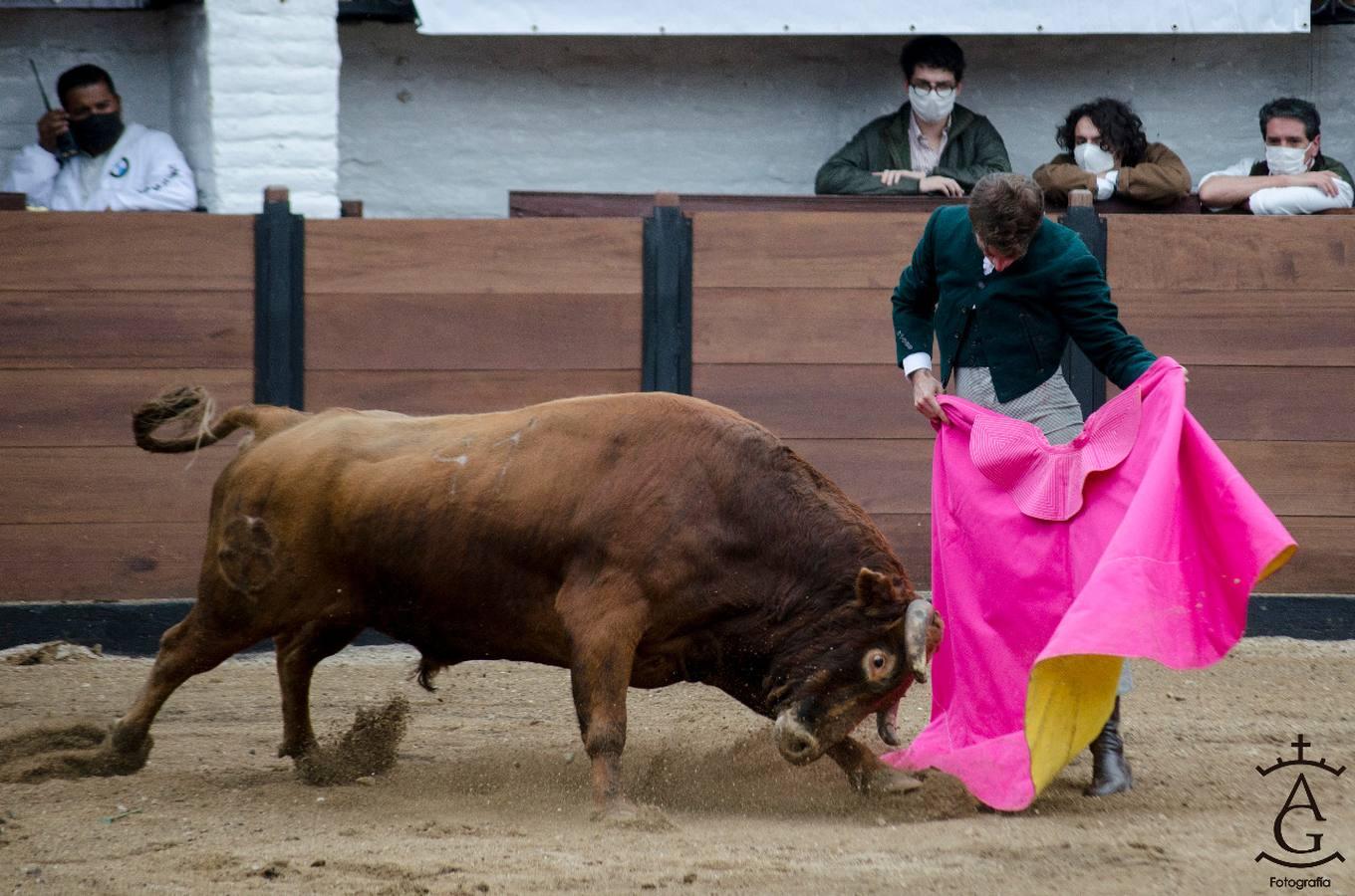 Festival taurino celebrado en Ecuador, en imágenes