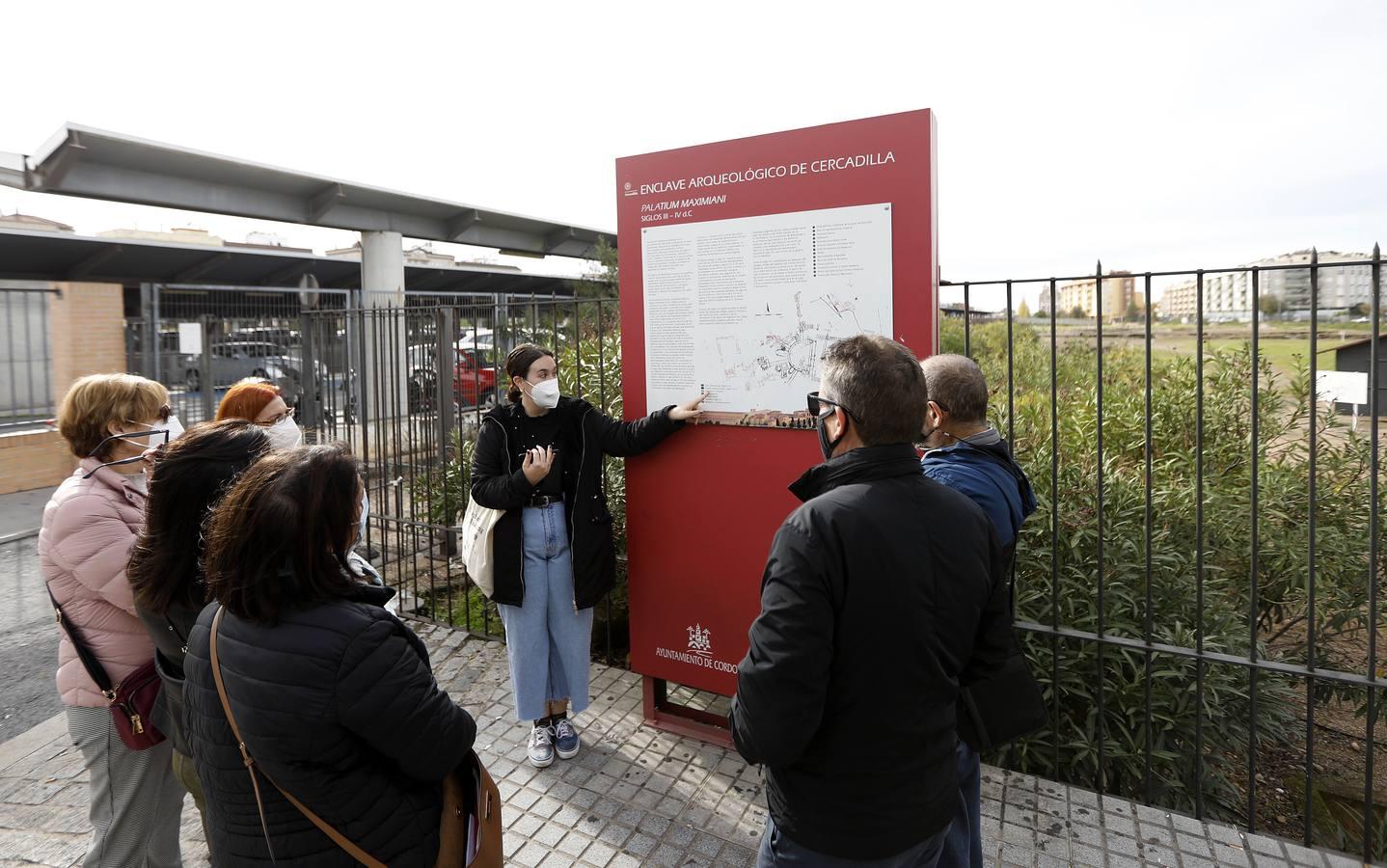 Los monumentos y el patrimoniode Córdoba con reformas pendientes, en imágenes