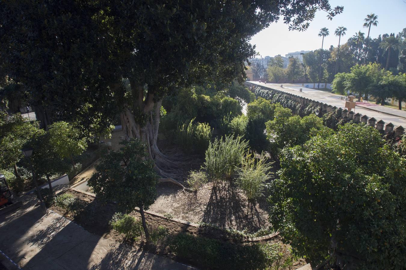 Santa Cruz, un barrio desierto