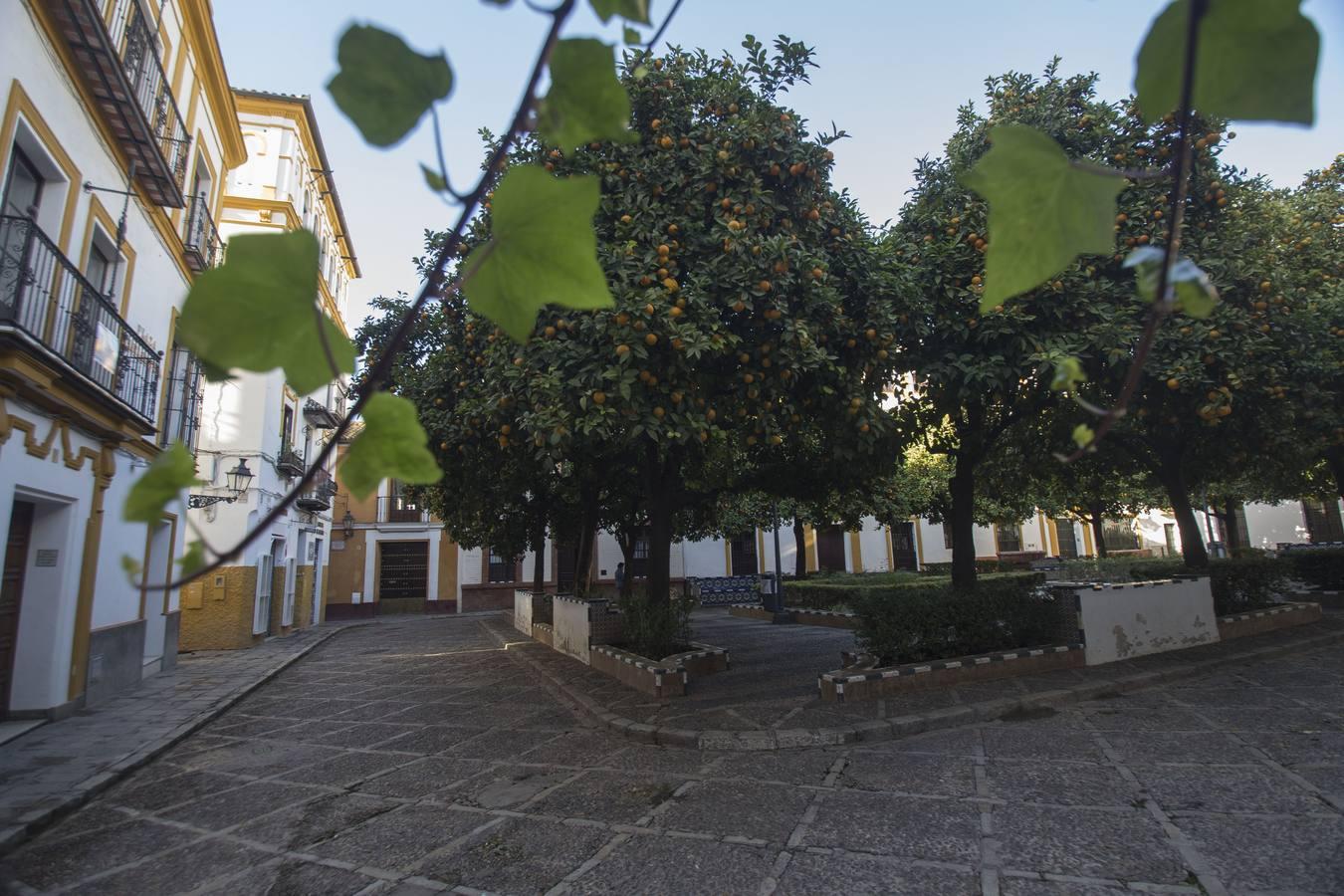 Santa Cruz, un barrio desierto